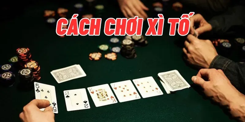 Cách Chơi Xì Tố Chi Tiết Và Đơn Giản Dành Cho Người Mới