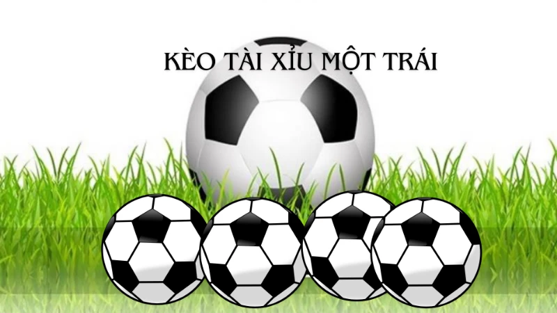 Kèo tài xỉu 1 trái – Hướng dẫn cách soi kèo 1 trái đạt hiệu quả tốt